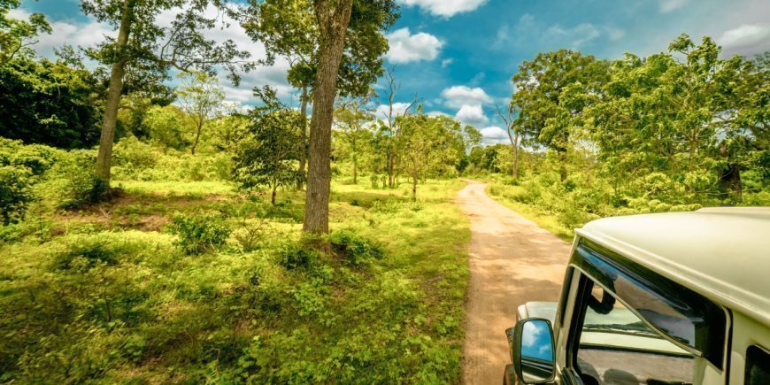 Jeeppisafari Sri Lankan kansallispuistossa