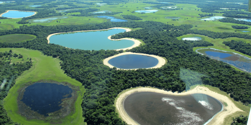 Ilmakuva Brasilian Pantanalin luontoalueista 